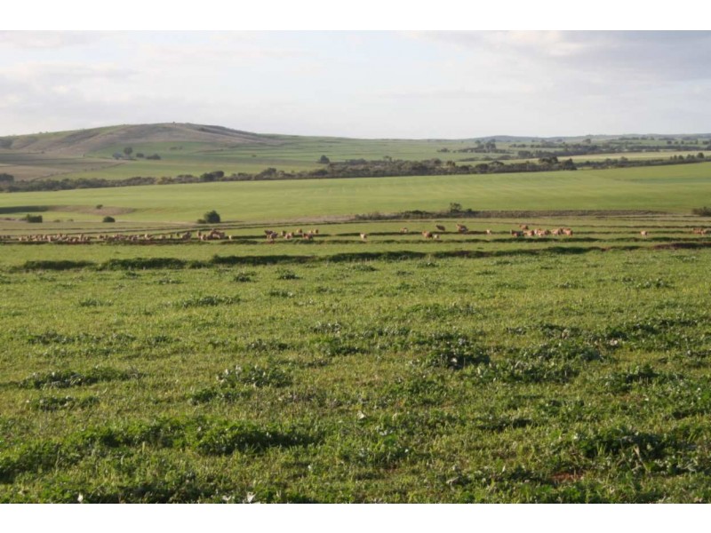* Powerline Road, Gladstone SA 5473