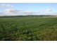 * Powerline Road, Gladstone SA 5473