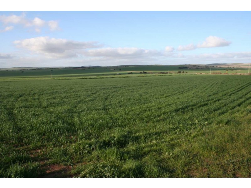 * Powerline Road, Gladstone SA 5473