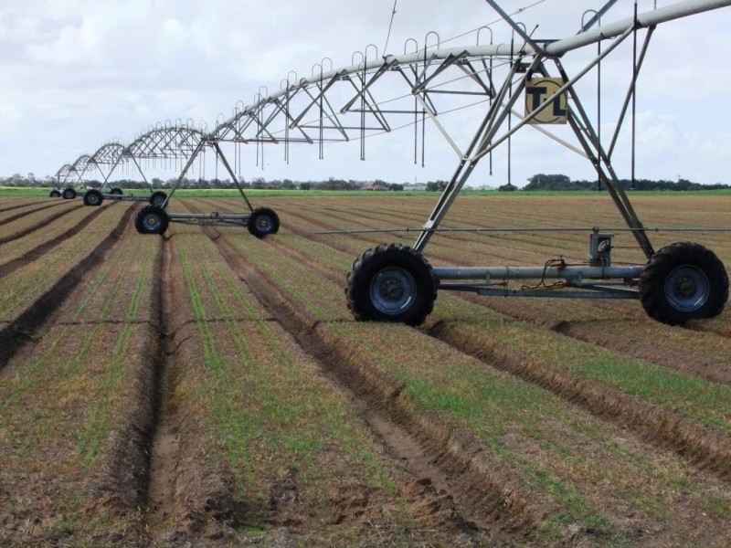 * 214.29ha Badu Bamal 529.62acs, Langhorne Creek SA 5255