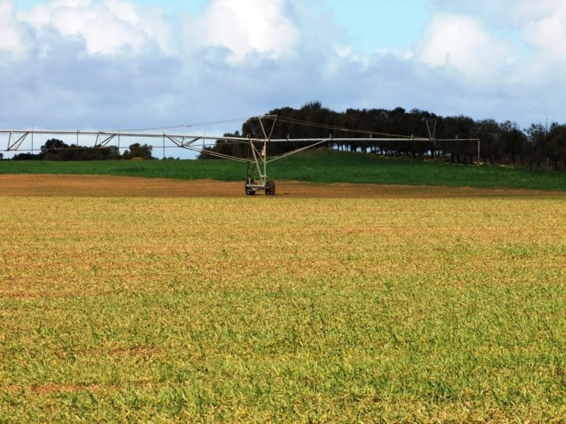 * 214.29ha Badu Bamal 529.62acs, Langhorne Creek SA 5255