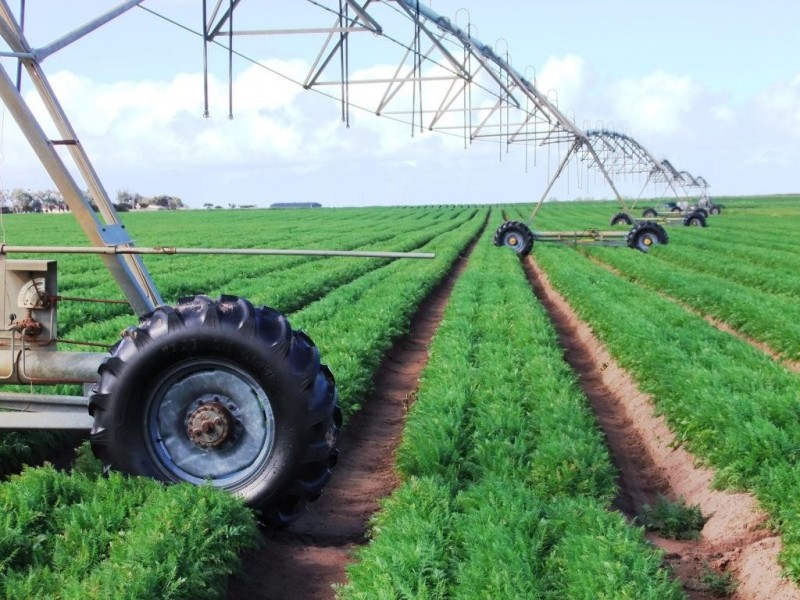 * 214.29ha Badu Bamal 529.62acs, Langhorne Creek SA 5255