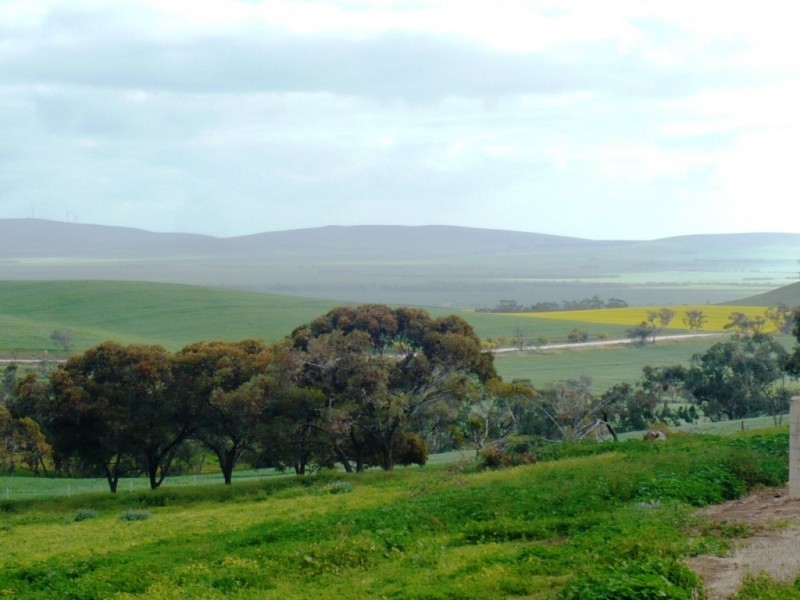 * 8.366ha Broadview Heights Homestead 20.67acs, Koolunga SA 5464