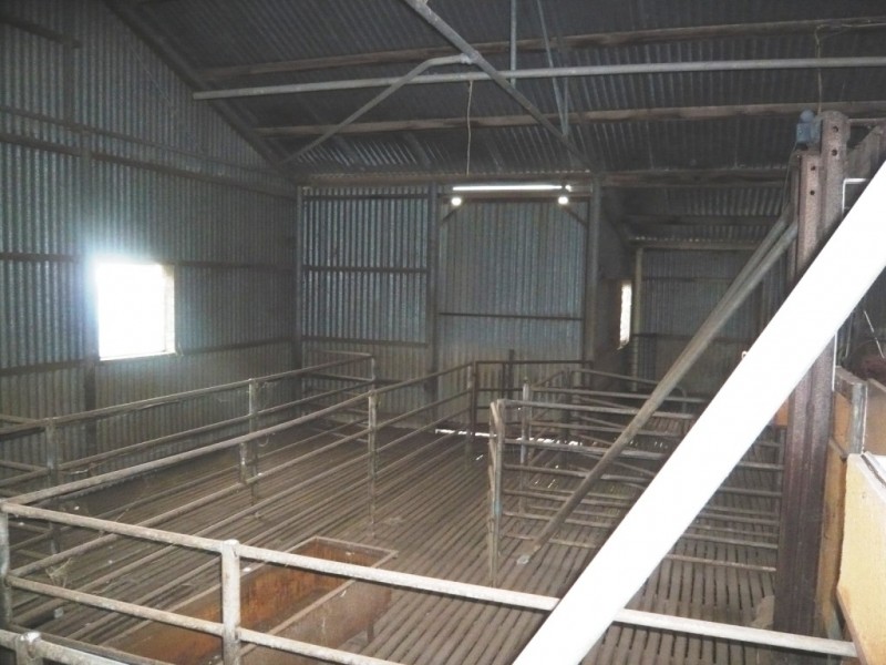 * 8.366ha Broadview Heights Homestead 20.67acs, Koolunga SA 5464