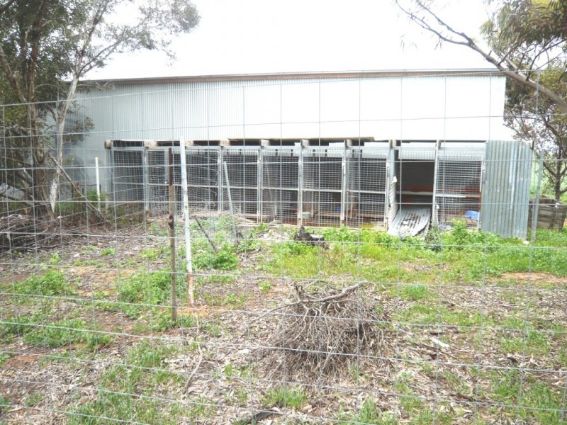 * 8.366ha Broadview Heights Homestead 20.67acs, Koolunga SA 5464