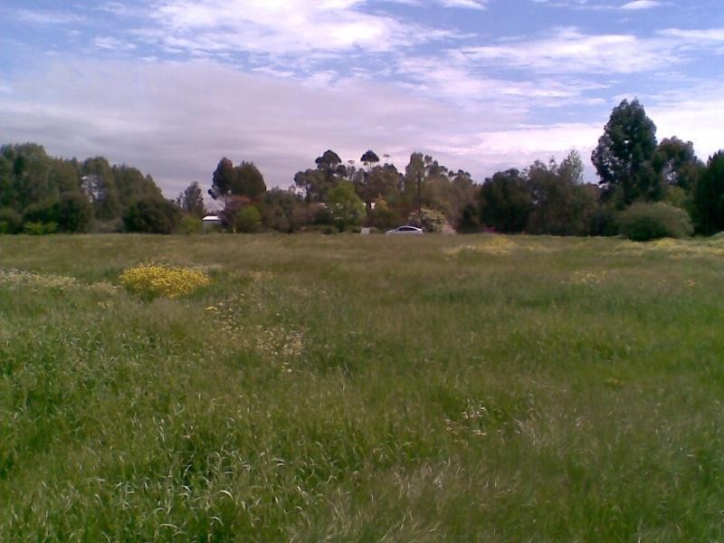 Lot 6 Wakefield Street, Mintaro SA 5415