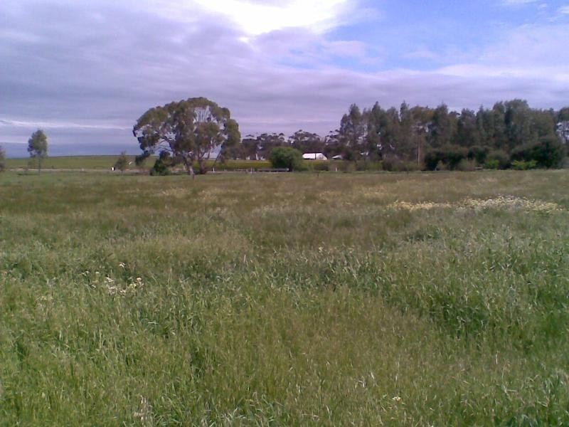 Lot 6 Wakefield Street, Mintaro SA 5415