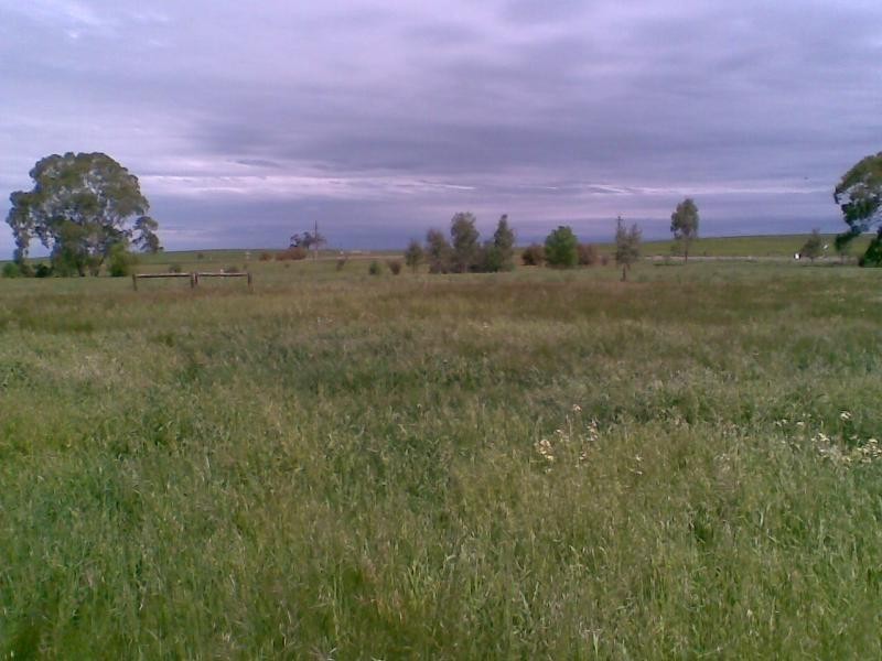 Lot 6 Wakefield Street, Mintaro SA 5415
