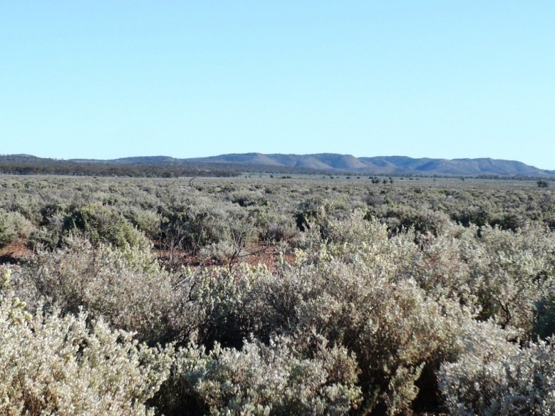 * 12,945ha Caroona Station 31,994acs, Burra SA 5417