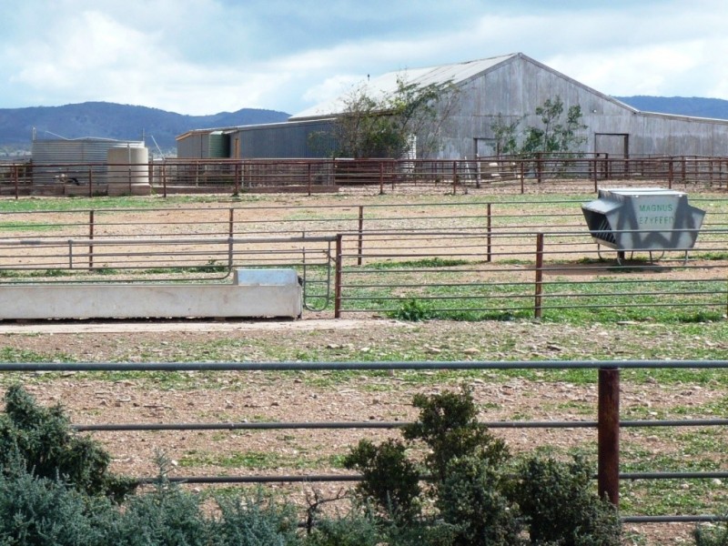 * 12,945ha Caroona Station 31,994acs, Burra SA 5417