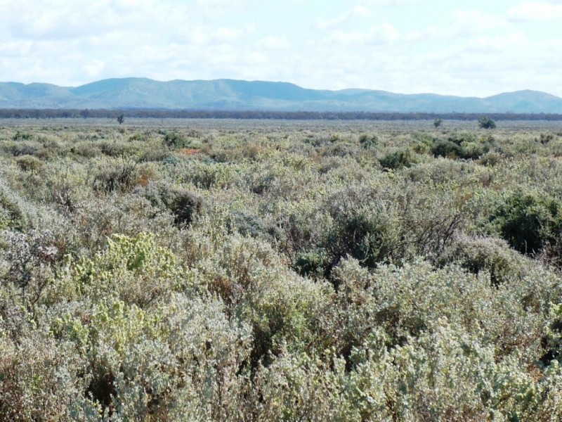 * 12,945ha Caroona Station 31,994acs, Burra SA 5417