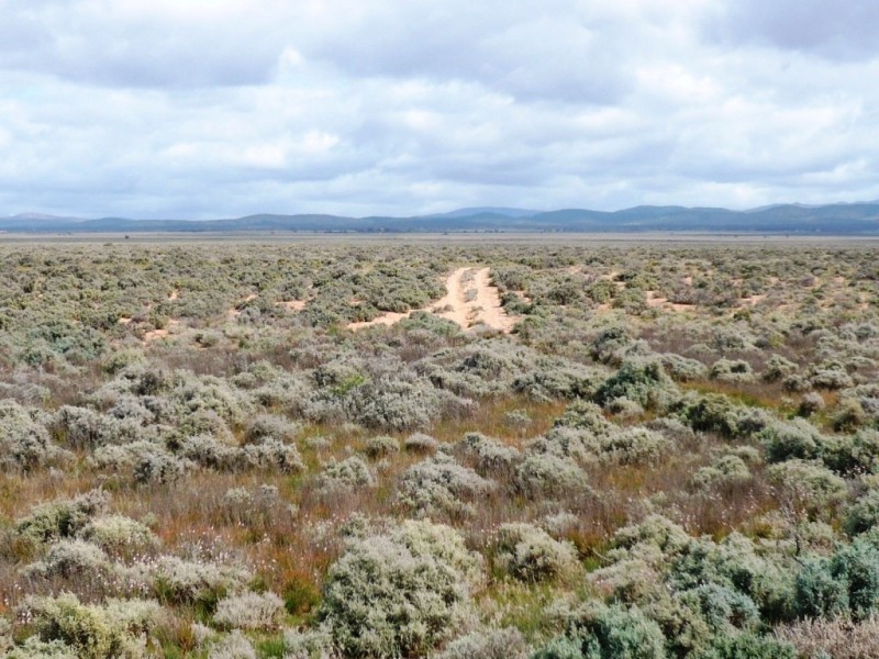 * 12,945ha Caroona Station 31,994acs, Burra SA 5417