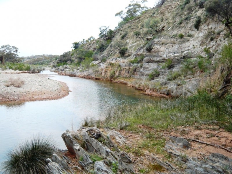 * 12,945ha Caroona Station 31,994acs, Burra SA 5417