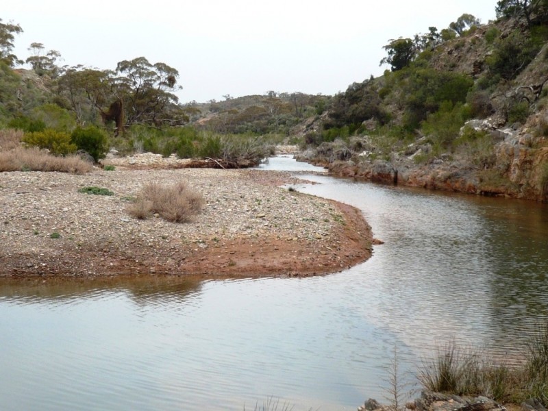 * 12,945ha Caroona Station 31,994acs, Burra SA 5417