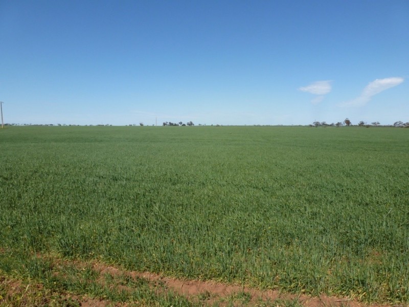 Lot 11 Smitham’s Road, Condowie SA 5464