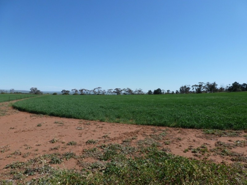 Lot 11 Smitham’s Road, Condowie SA 5464