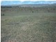 * Belton Road, Carrieton SA 5432
