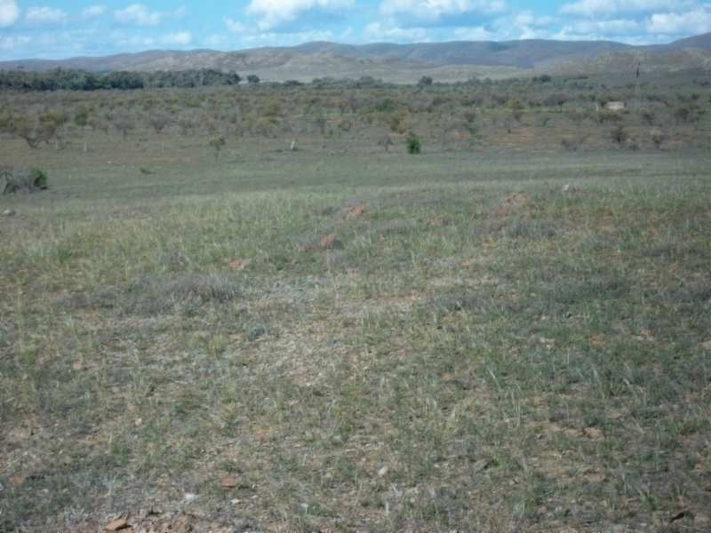 * Belton Road, Carrieton SA 5432