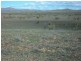 * Belton Road, Carrieton SA 5432