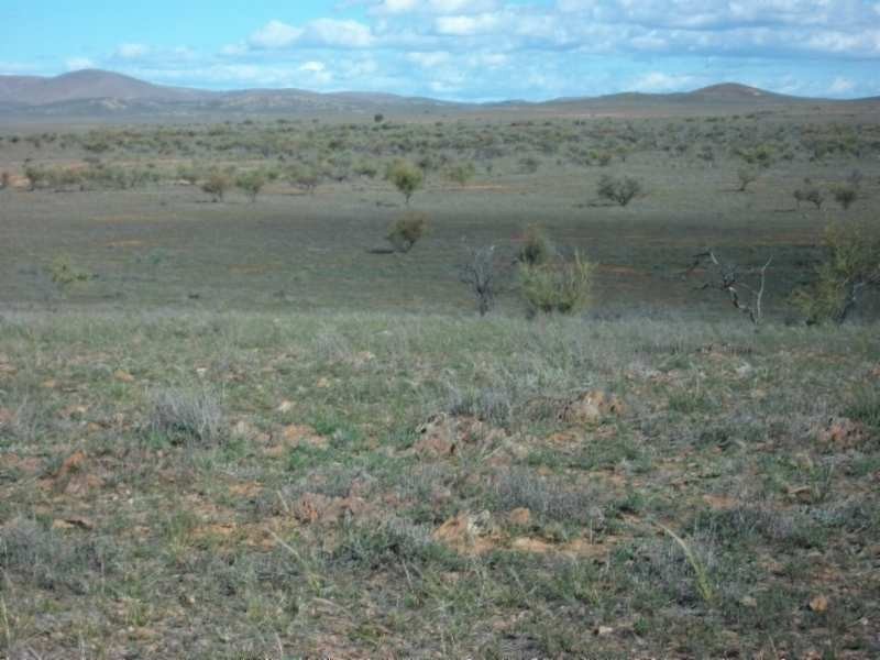 * Belton Road, Carrieton SA 5432