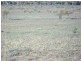 * Belton Road, Carrieton SA 5432