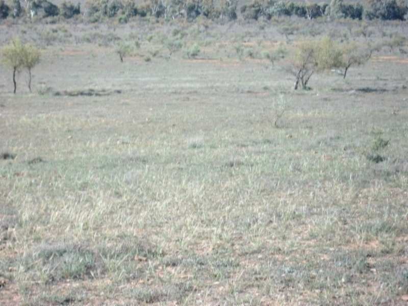 * Belton Road, Carrieton SA 5432