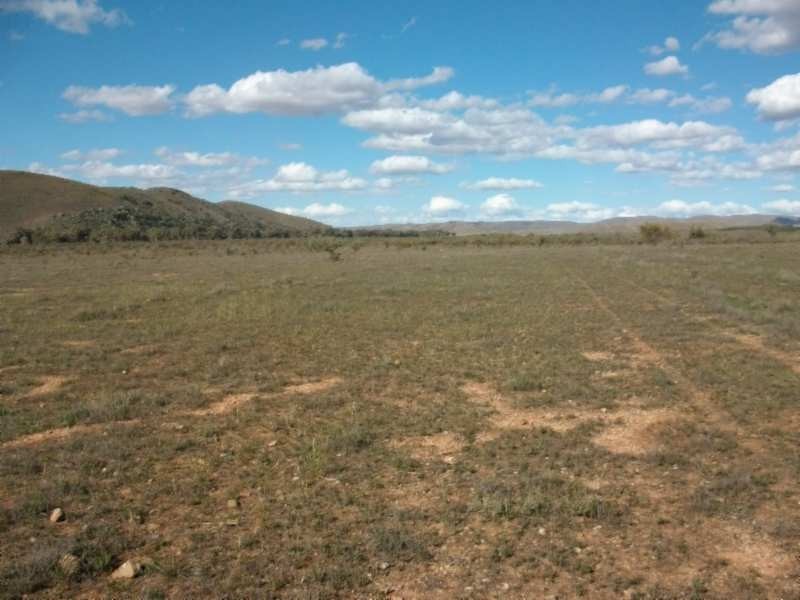 * Belton Road, Carrieton SA 5432