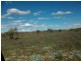 * Belton Road, Carrieton SA 5432