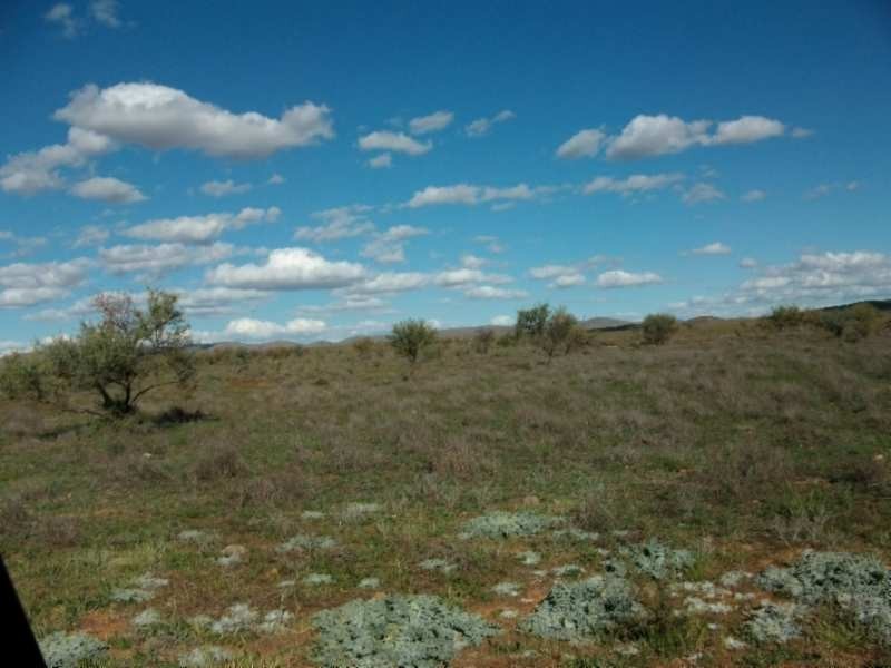 * Belton Road, Carrieton SA 5432