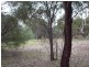 Lot 1 Saddleworth Road, Auburn SA 5451