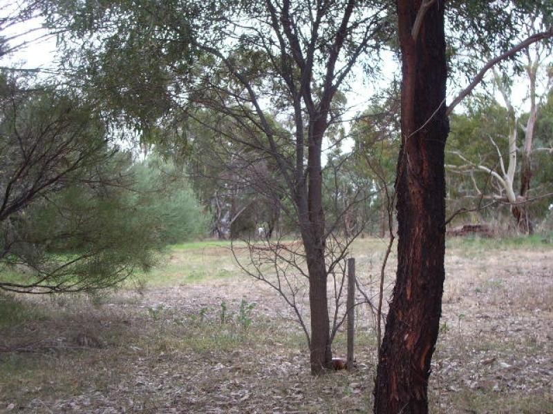 Lot 1 Saddleworth Road, Auburn SA 5451
