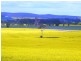 * 206.75ha “Range Park” 511acs, Hill River SA 5453
