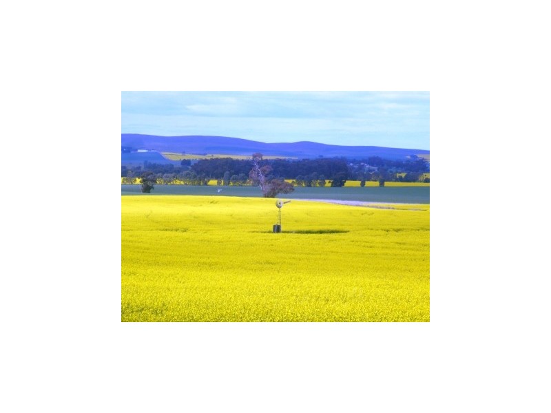 * 206.75ha “Range Park” 511acs, Hill River SA 5453