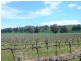 * 206.75ha “Range Park” 511acs, Hill River SA 5453