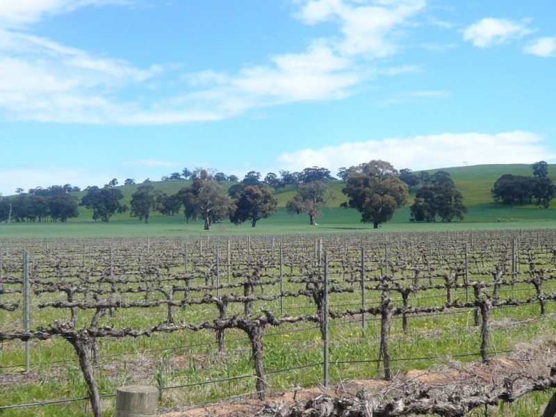 * 206.75ha “Range Park” 511acs, Hill River SA 5453