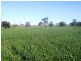 * 206.75ha “Range Park” 511acs, Hill River SA 5453