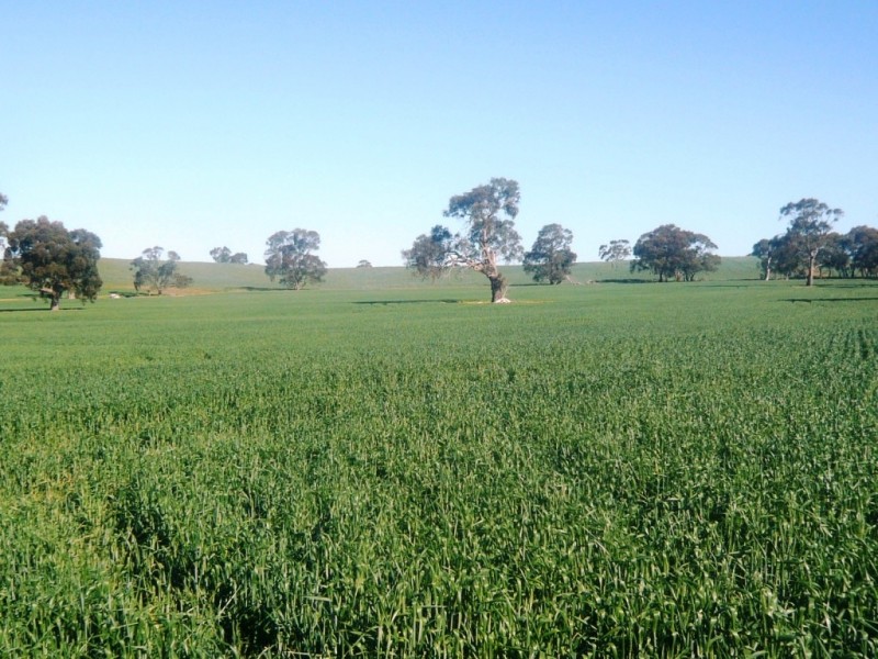 * 206.75ha “Range Park” 511acs, Hill River SA 5453