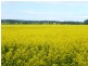 * 206.75ha “Range Park” 511acs, Hill River SA 5453