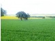 * 206.75ha “Range Park” 511acs, Hill River SA 5453