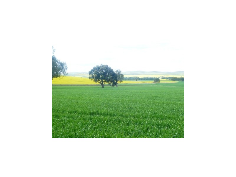 * 206.75ha “Range Park” 511acs, Hill River SA 5453