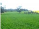 * 206.75ha “Range Park” 511acs, Hill River SA 5453