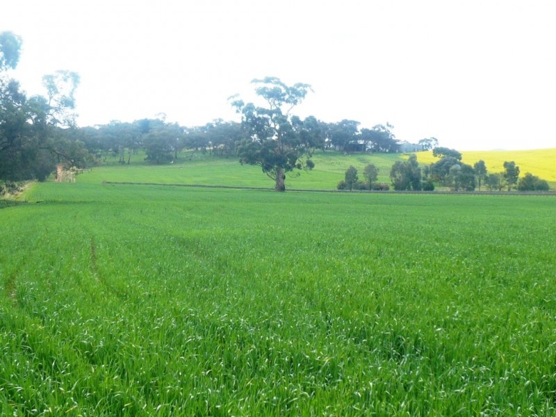 * 206.75ha “Range Park” 511acs, Hill River SA 5453