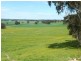 * 206.75ha “Range Park” 511acs, Hill River SA 5453