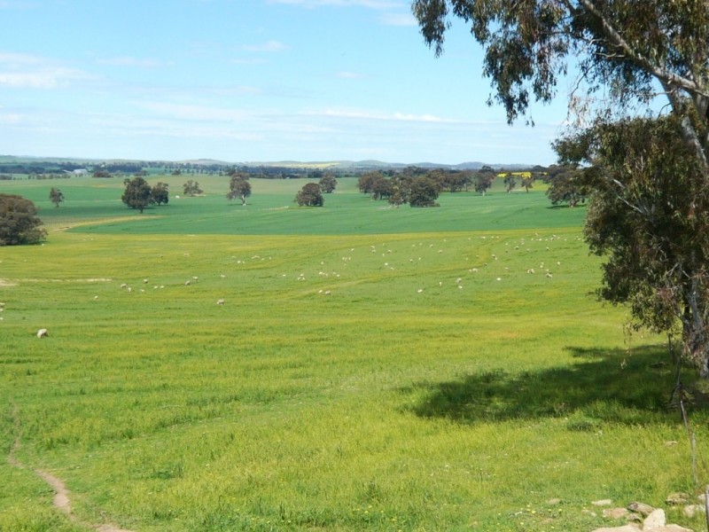 * 206.75ha “Range Park” 511acs, Hill River SA 5453