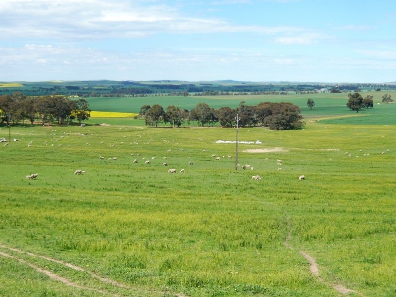 * 206.75ha “Range Park” 511acs, Hill River SA 5453