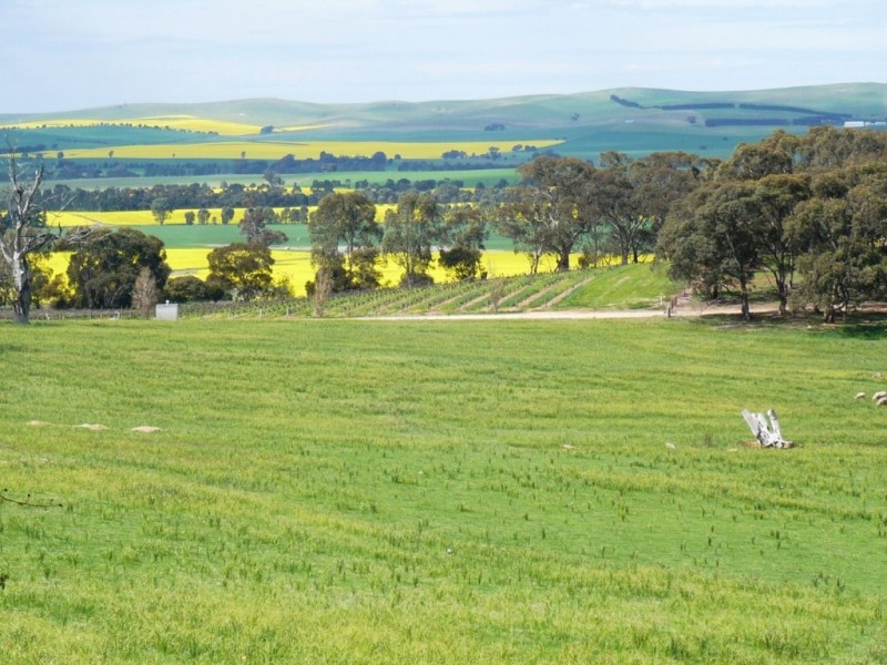 * 206.75ha “Range Park” 511acs, Hill River SA 5453