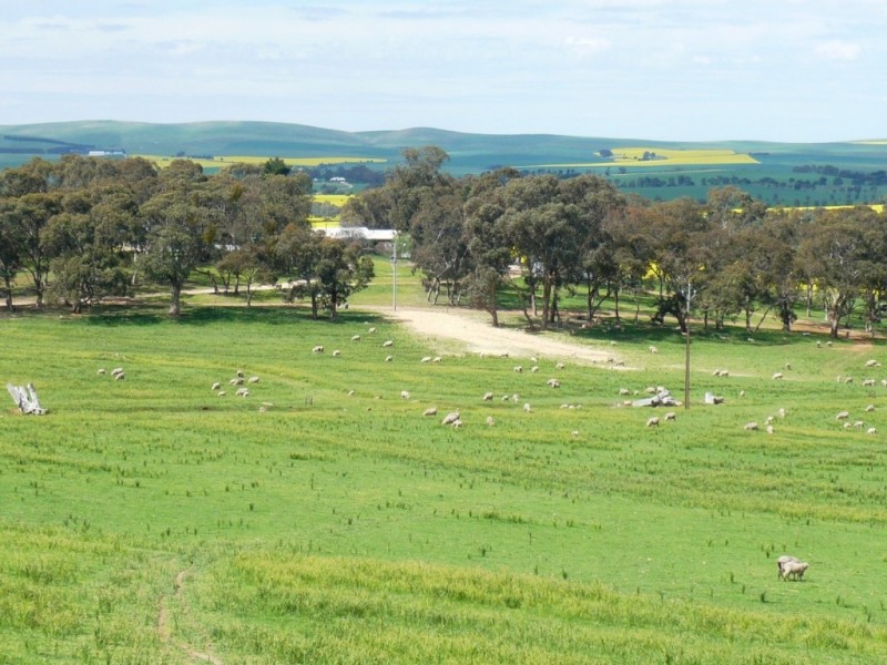 * 206.75ha “Range Park” 511acs, Hill River SA 5453
