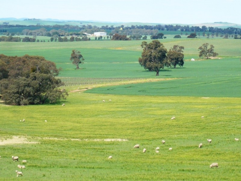 * 206.75ha “Range Park” 511acs, Hill River SA 5453
