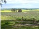 * 206.75ha “Range Park” 511acs, Hill River SA 5453