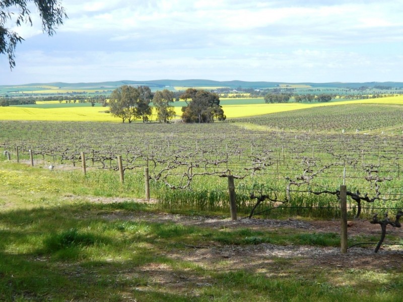 * 206.75ha “Range Park” 511acs, Hill River SA 5453